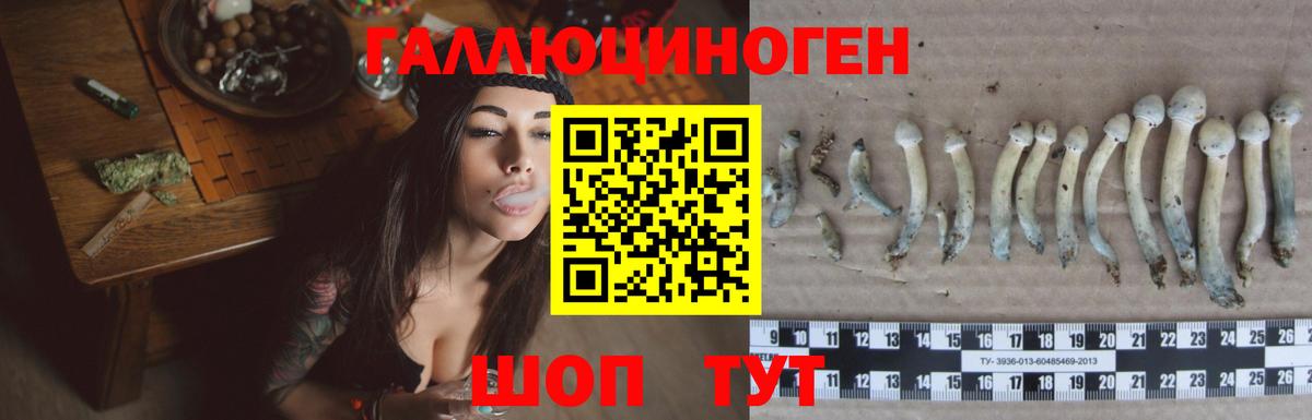 Галлюциногенные грибы GOLDEN TEACHER  Вход с VPN  Менделеевск 